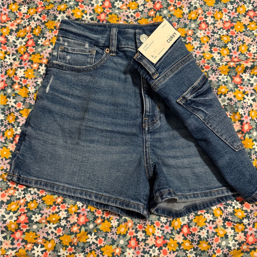 American Eagle Curvy Women's Blue Denim Shorts